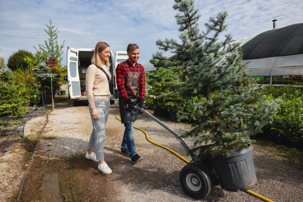 Best Stump Grinding and Removal  in Presidio, TX